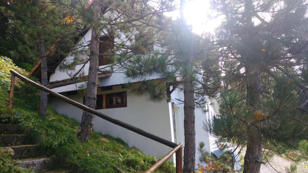 Hotel Uki & Sofi Mountain House Kopaonik Exterior foto