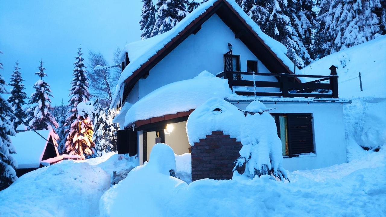 Hotel Uki & Sofi Mountain House Kopaonik Exterior foto