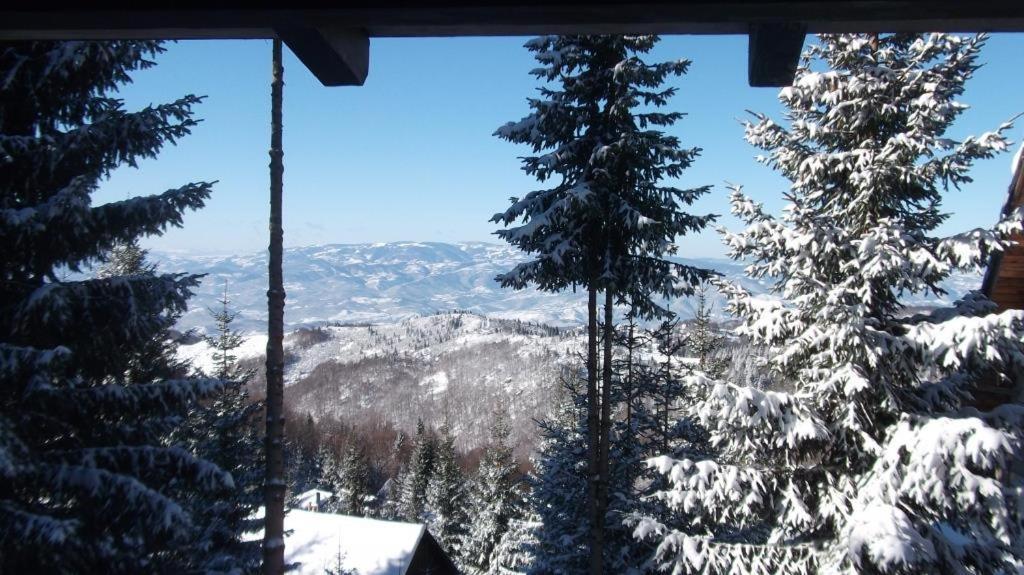 Hotel Uki & Sofi Mountain House Kopaonik Exterior foto